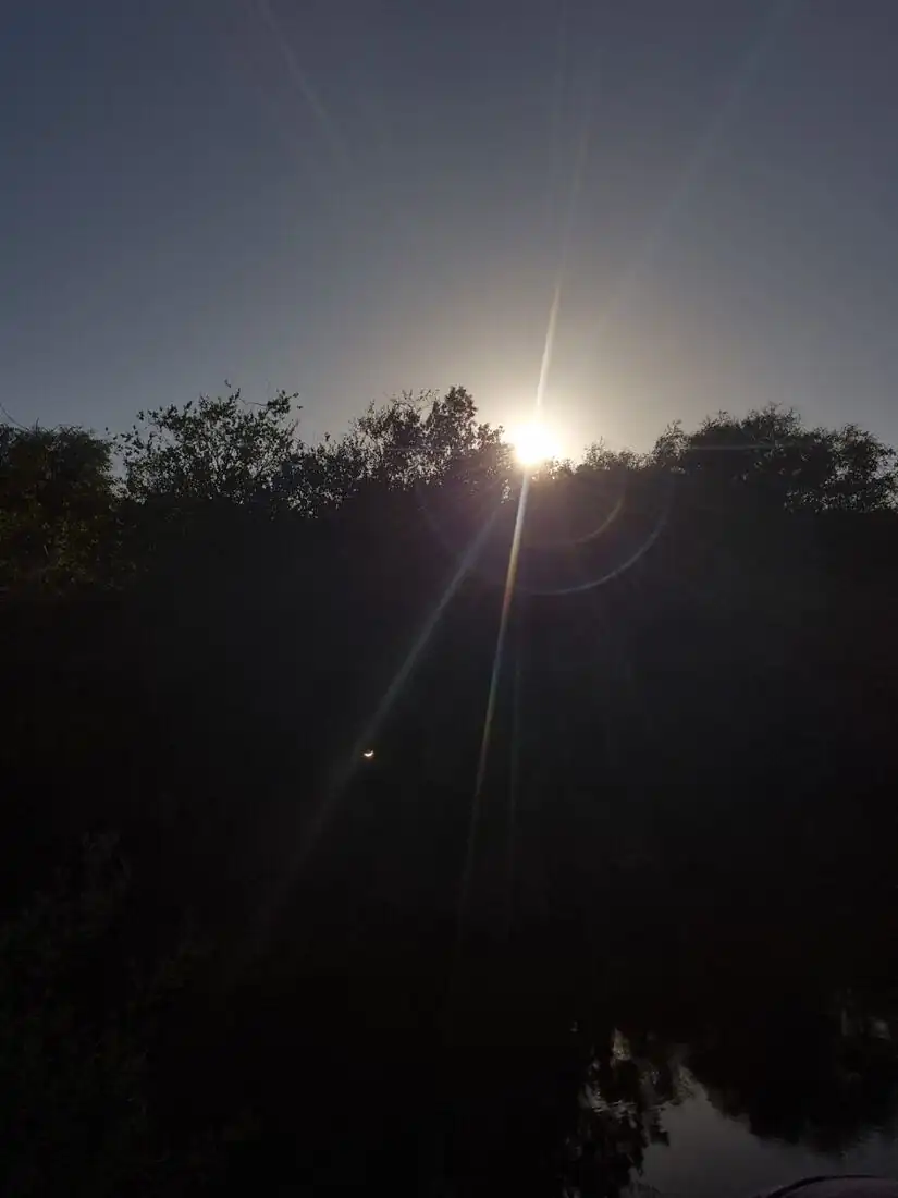 The sun above the trees at Ennal’s Pool during the partial eclipse