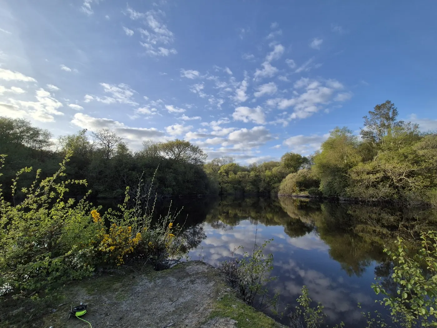 Spring woodland and blue sky reflected in the lake